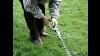 Hitachi Backpack Strimmer Grass Bush Brush Cutter Garden Hedge Trimmer Cg40ef(l)